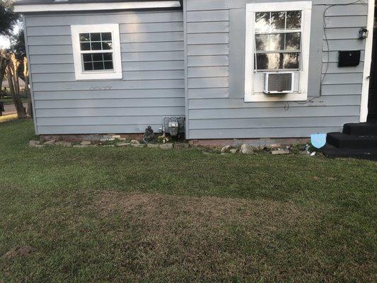 I built her flower boxes and shutters