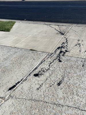 Consolidated Paving & Concrete