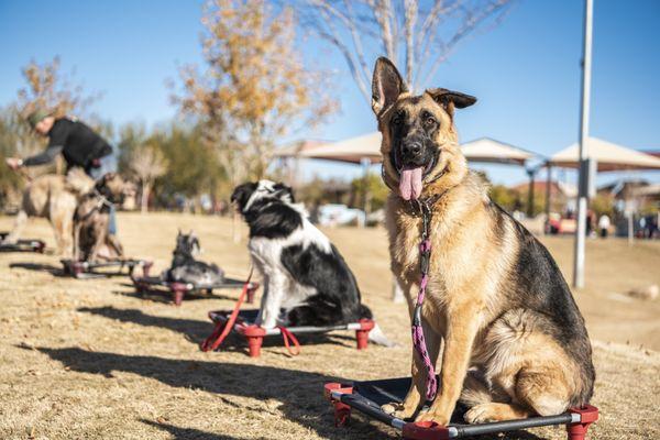 Sit Means Sit South West Las Vegas