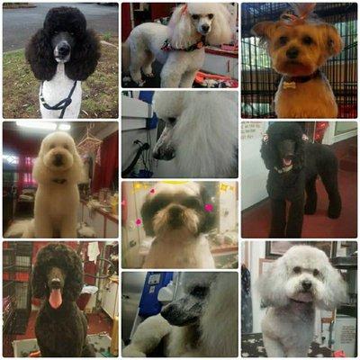 Sharpening By George - Shears & Scissors