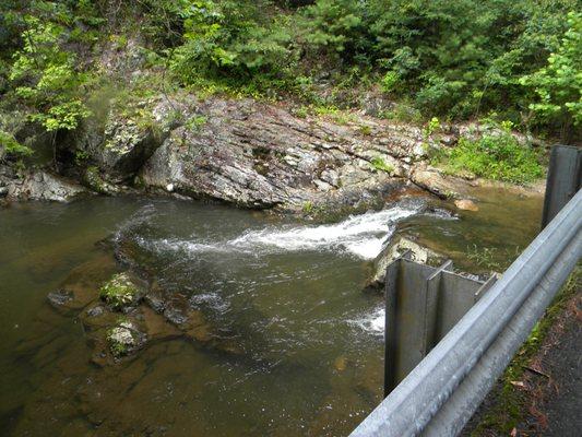 Delight View Photography