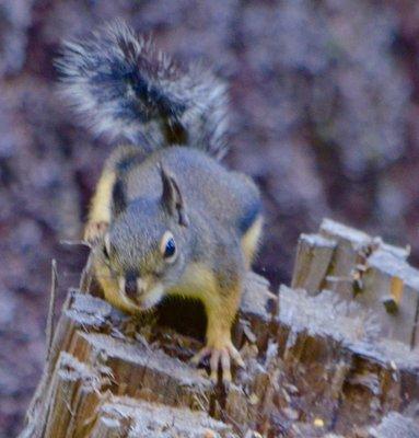 Who is watching whom?