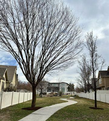 Wild Bills Tree Service