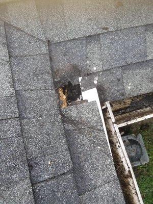 Bill's Home Improvement