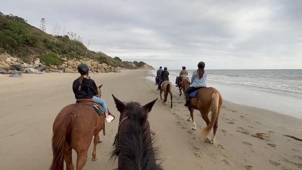 Santa Barbara Beach Horseback Rides