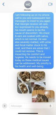 Gimme Shelter Animal Rescue