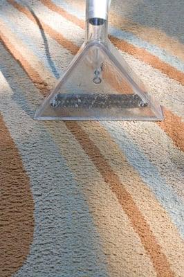 Pacoima Carpet Cleaning