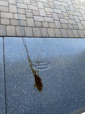 Walmart Vision & Glasses