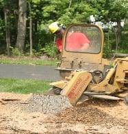 Larry's Lawn Service