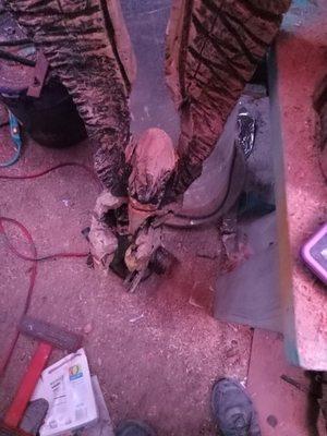 Superior Gods Tattoo