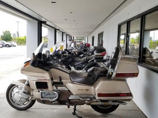 Long row of used bikes.