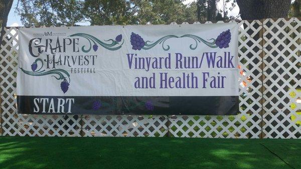 FAMU Viticulture Center