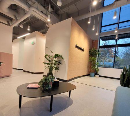 Dentologie - Queen Anne