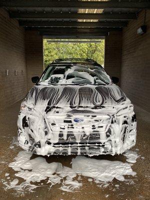 The foam brushes are awesome!