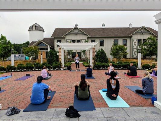 Foundations Island Yoga