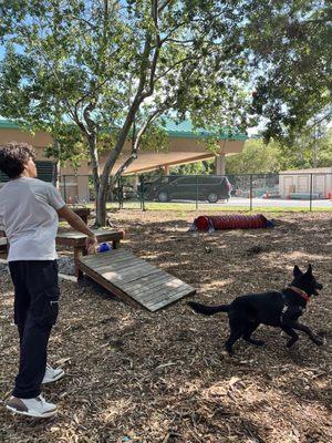 Pinellas County Animal Services