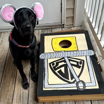 Shield Pest Solutions