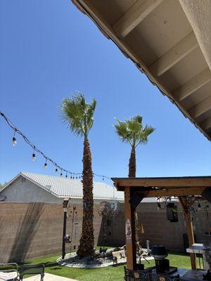 Next Level Landscape & Tree Care