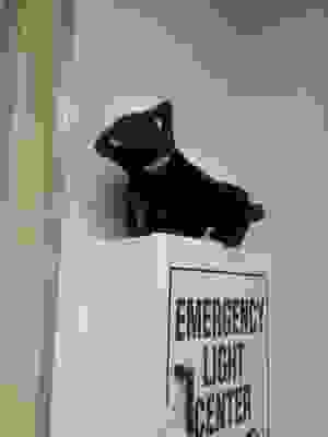 Harris County Psychiatric Center, 2800 S MacGregor Way, Houston, TX ...