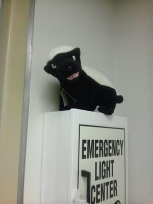 Harris County Psychiatric Center, 2800 S MacGregor Way, Houston, TX ...