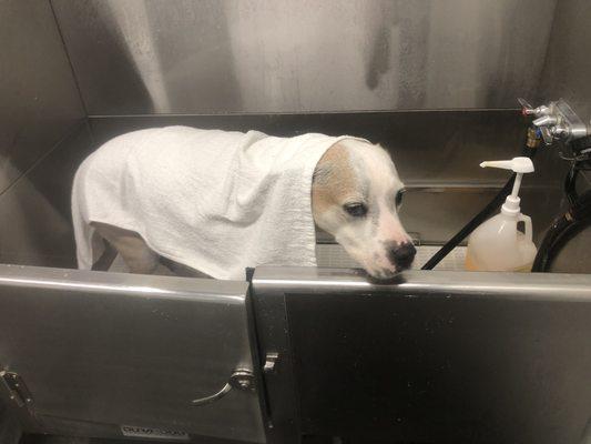 Tractor Supply Store: tsc