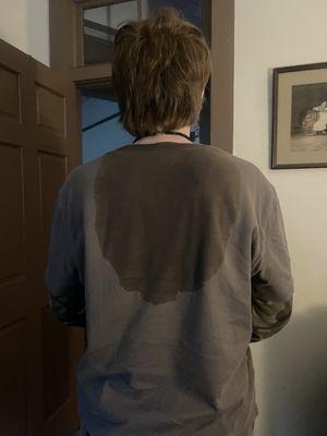 The back of my shirt after my haircut