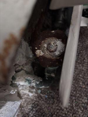 Medallion Management