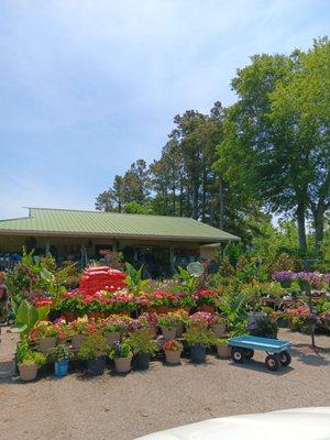 Kitty Hawk Garden Center