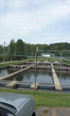 New York State Government Offices