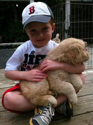 Animal Emergency Clinic