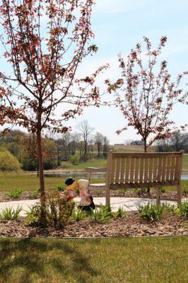 Villages of Lonsdale