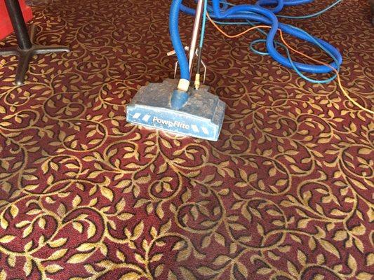 Easy Clean Carpet & Upholstery Cleaning Company