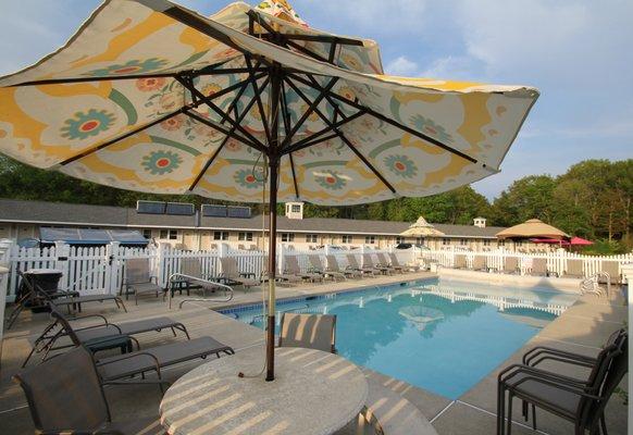 Heated Saltwater Pool