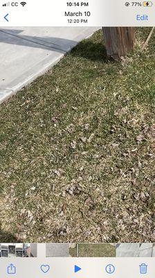 Who's going to aim a car there? Put a flare on the other side!