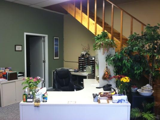 Chiropractic Health Services