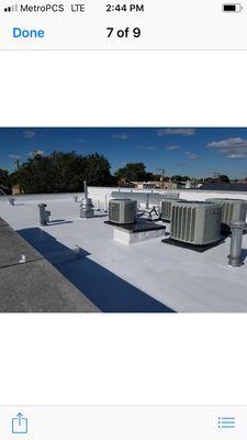 Reliable Roofing Expert's