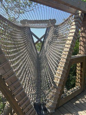 The NEST at Robinson Preserve