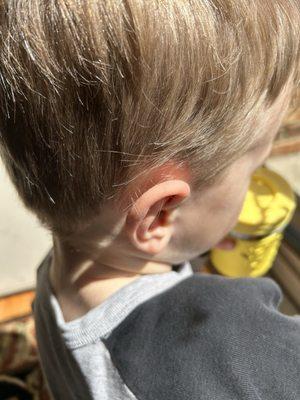 Fantastic Sams Hair Salons