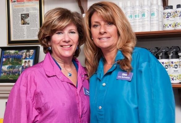 The Lice Expert of Dobbs Ferry