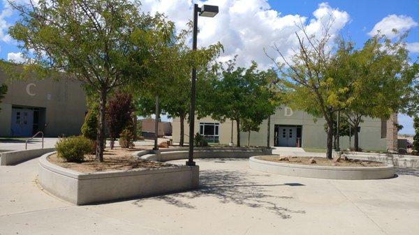 Courtyard and bldgs C and D