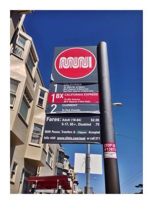 MUNI - 1BX California Express