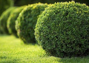 PGM Facility Services