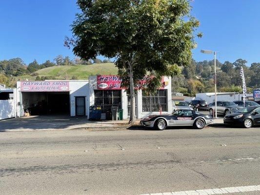 Hayward Smog & Auto Repair
