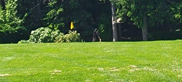 Canterbury Green Golf Course