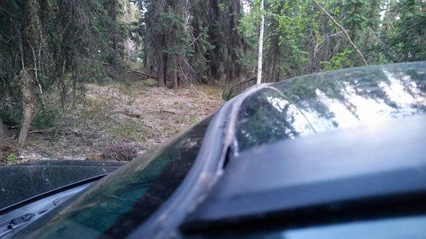 Windshield leaks because Jim's Auto Parts & Glass is incapable of correctly installing windshields.