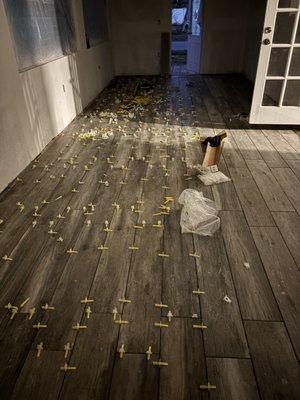 ALE Construction Services