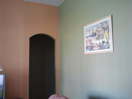 Visionary Painting & Designs