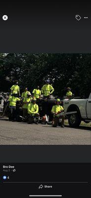 Peterson Tree Service