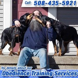 New England K9 School For Dogs
