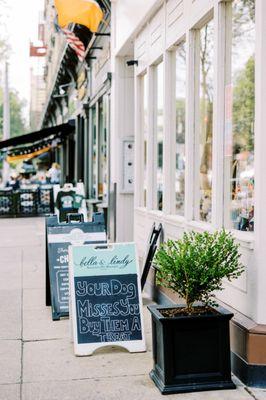 Bella & Lindy Saratoga's Pet Boutique